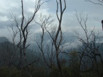 Westerly view from the ridge