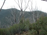 View to Tidbinbilla Peak (L) and 1491 (R) from John's Peak after the mist has gone