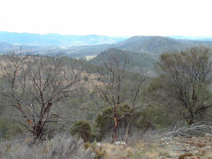 NE view