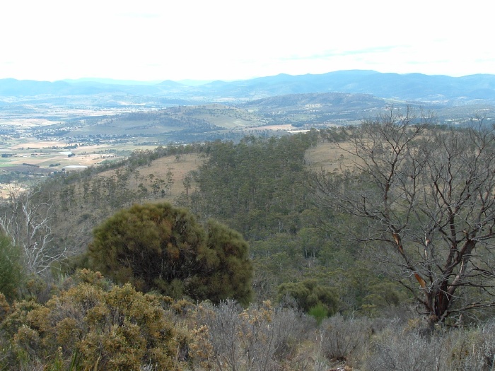 N view