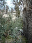 And a few more to climb over